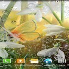 Outre le fond d'écran animé L`île-crane  pour Android téléchargez l'apk gratuit de screensaver Printemps .