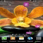 Outre le fond d'écran animé Fond d'écran animé de fleurs  pour Android téléchargez l'apk gratuit de screensaver Jardin Zen .