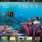Outre le fond d'écran animé Le sapin de Noël 3D pour Android téléchargez l'apk gratuit de screensaver Aquarium.