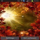 Outre le fond d'écran animé Fête de la Saint-Valentin  pour Android téléchargez l'apk gratuit de screensaver Soleil d'automne.