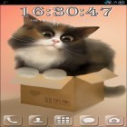 Outre le fond d'écran animé Nymphe pour Android téléchargez l'apk gratuit de screensaver Le chat dans la boite .