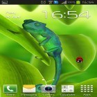 Outre le fond d'écran animé Cerisiers en fleurs  pour Android téléchargez l'apk gratuit de screensaver Caméléon 3D.