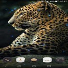 Outre le fond d'écran animé Coq somnolent  pour Android téléchargez l'apk gratuit de screensaver Guépard.