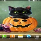 Outre le fond d'écran animé Le petit dinosaure  pour Android téléchargez l'apk gratuit de screensaver Halloween aimable .