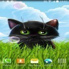 Outre le fond d'écran animé Belles montagne pour Android téléchargez l'apk gratuit de screensaver Chaton gentil .