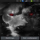 Outre le fond d'écran animé Papillons pour Android téléchargez l'apk gratuit de screensaver Les yeux du lion.