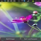 Outre le fond d'écran animé Les papillons magiques 3D pour Android téléchargez l'apk gratuit de screensaver Pluie polissonne .