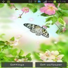 Outre le fond d'écran animé Saisons 3D pour Android téléchargez l'apk gratuit de screensaver Fleurs tendres .