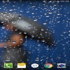Outre le fond d'écran animé Montre noire pour Android téléchargez l'apk gratuit de screensaver Gouttes sur le verre.