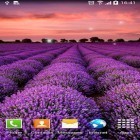 Outre le fond d'écran animé Orchidées   pour Android téléchargez l'apk gratuit de screensaver Paysage .