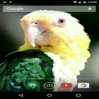 Outre le fond d'écran animé Egaliseur 3D  pour Android téléchargez l'apk gratuit de screensaver Perroquets .