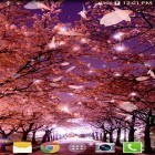 Outre le fond d'écran animé Jardin des pivoines  pour Android téléchargez l'apk gratuit de screensaver Sakura 3D.