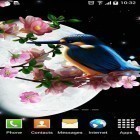 Téléchargez Sakura et oiseau sur Android et d'autres fonds d'écran animés gratuits pour HTC One M8.