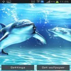 Outre le fond d'écran animé La rayure  pour Android téléchargez l'apk gratuit de screensaver Dauphin de mer.