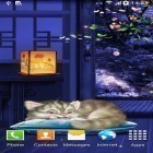 Outre le fond d'écran animé Aquarium avec les poissons 3D pour Android téléchargez l'apk gratuit de screensaver Chaton dormant .