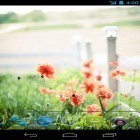 Outre le fond d'écran animé Bulles  pour Android téléchargez l'apk gratuit de screensaver Fleurs d'été .
