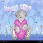 Outre le fond d'écran animé Fleurs de jardin  pour Android téléchargez l'apk gratuit de screensaver Ours Teddy .
