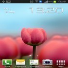 Outre le fond d'écran animé Limière de lune   pour Android téléchargez l'apk gratuit de screensaver Tulipe 3D.
