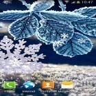 Téléchargez Hiver sur Android et d'autres fonds d'écran animés gratuits pour Acer CloudMobile S500.