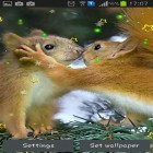 Outre le fond d'écran animé Flux numérique   pour Android téléchargez l'apk gratuit de screensaver Ecureuil d'hiver .
