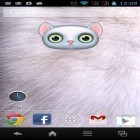 Outre le fond d'écran animé Magie  pour Android téléchargez l'apk gratuit de screensaver Zoo: Chat.