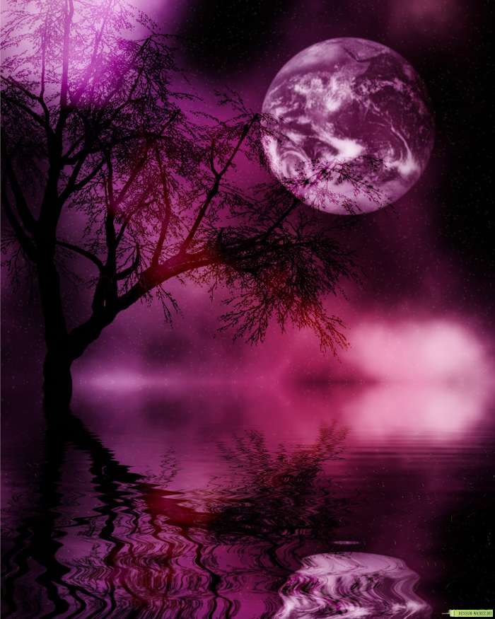 Paysage,Nuit,Lune